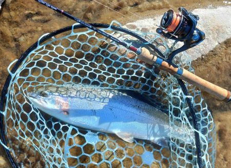 何とか釣れたが苦戦 ～天竜川ルアーフライ専用区～